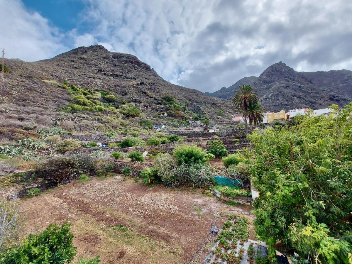 Casa Ana Con Jardin Lejlighed Punta Del Hidalgo Eksteriør billede